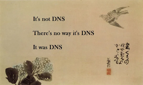 It's not DNS. There is no way it's DNS. It was DNS