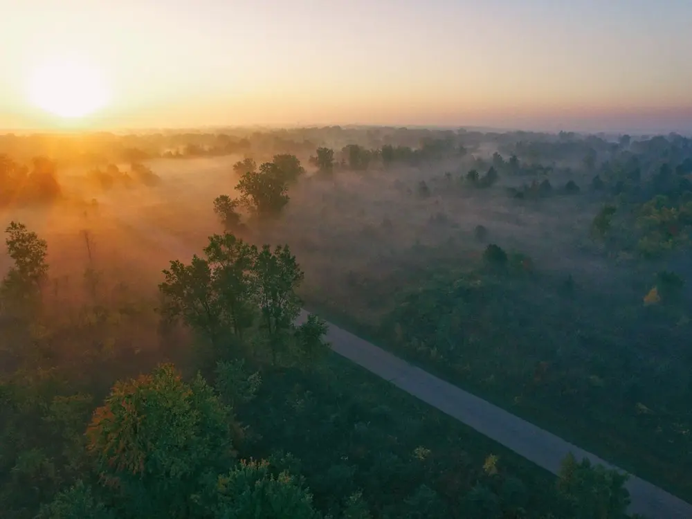 Sun and fog